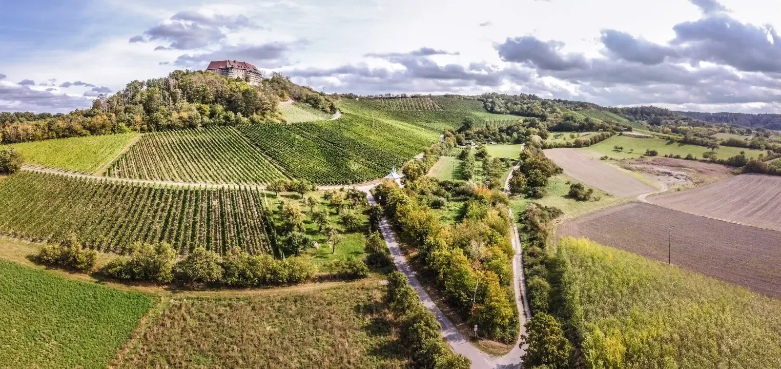 Weinberge bei Ipsheim, Heimat des Weinguts Thomas Kreiselmeyer